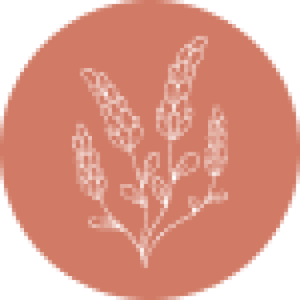 cropped-favicon-anarrezarra.png